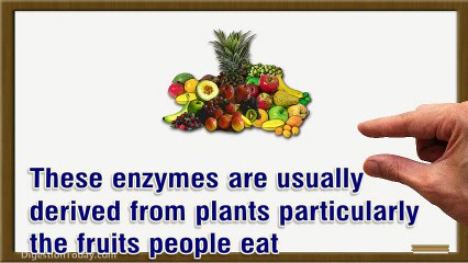 Digestive Enzymes: Needed For Human Health And Longevity