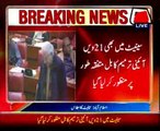 21st Constitutional passed by Senate as well