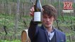 Vin bio: Coup de cœur pour un vin blanc de Fronton
