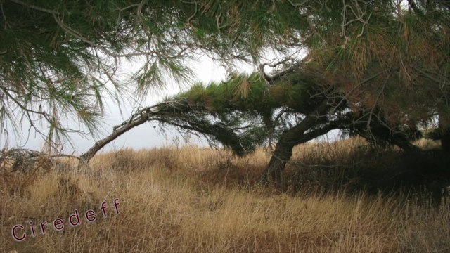 1/2 Tourisme en Grèce Visiter l'ile de Santorin Fouilles archéologiques Tourism in Greece Visit the island of Santorini archaeological excavations Tourismus in Griechenland Besuchen Sie die Insel Santorin archäologischen Ausgrabungen