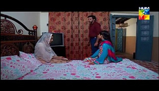 Agar Tum Na Hote Last Episode 6 Jan 2015 Hum TV Drama