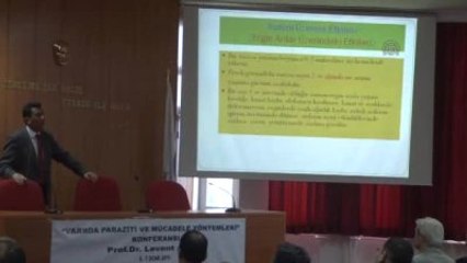 Arılarda Görülen "Varroa" Bal Üretimini Düşürüyor