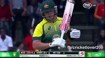 top 14 wickets of cricket 2014