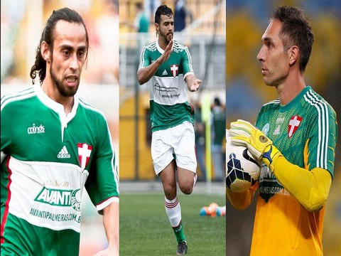 Palmeirenses elegem destaque do clube no ano do centenário