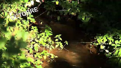 Les infos de Tébésud du 6 janvier 2015