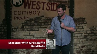 Pot Muffin v2