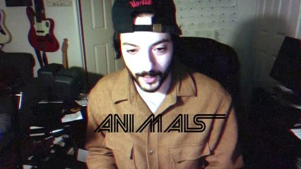 We are ready for a great 2015 at ANIMALS! Come along.