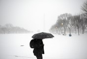 Images from D.C.'s first snow of 2015