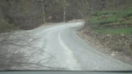 Trabzon'da Şiddetli Rüzgar Çatıları Uçurdu