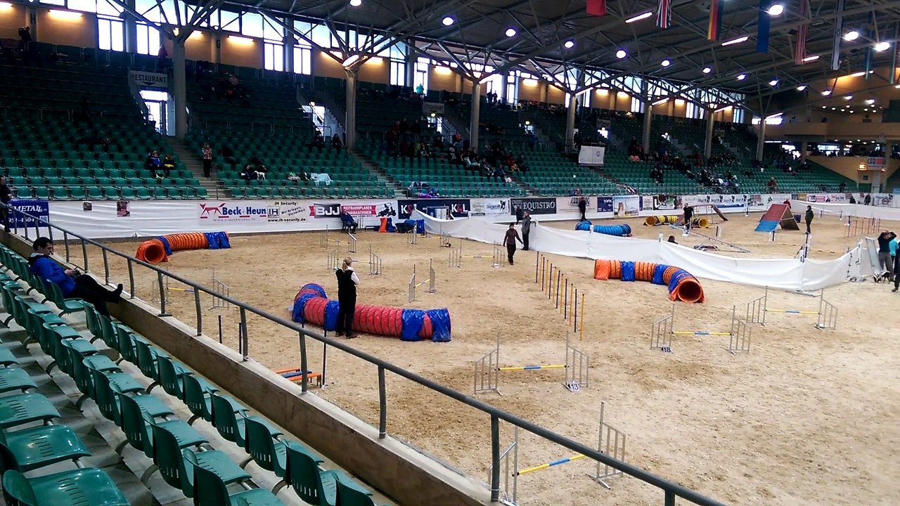 B.A.C.K. 1. Tag Kiwi Jumping