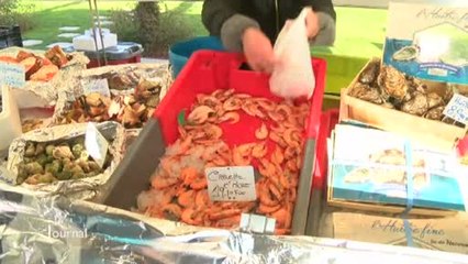 Fruits de mer: Dernière ligne droite pour les professionnels