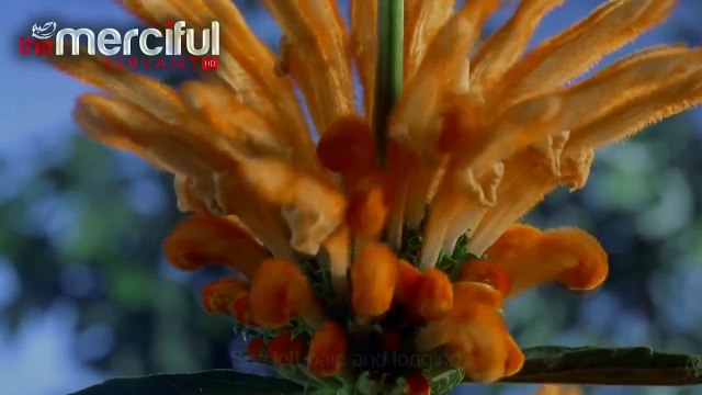 Oh Mother -Very Emotional Nasheed Ya Ummi