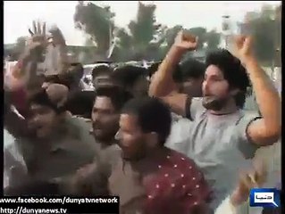 پٹواری بمقابلہ انصافی ٹائگرز ایک ایسی ویڈیو جو دیکھ کر آپ بہت ہنسیں گے