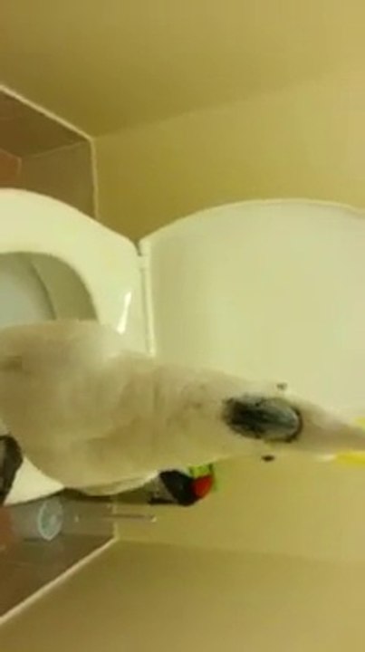 Too's Potty Training Time turned into Fun Time