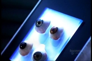How Its Made - 122 Artificial Eyes