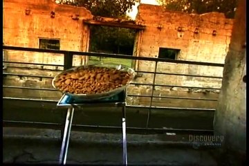 How Its Made - 123 Dog and Cat Food