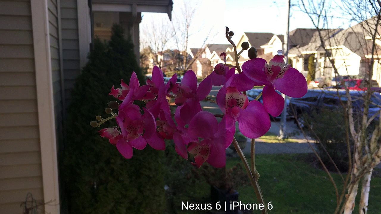 Nexus 6 by Motorola - The Google Phablet