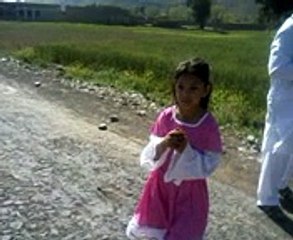 small child stand on hand (sohail orakzai)