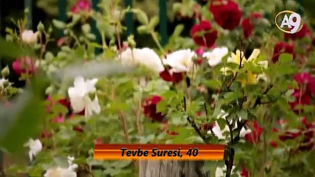 PEYGAMBER EFENDİMİZ (SAV)'İN GÜZEL AHLAKI