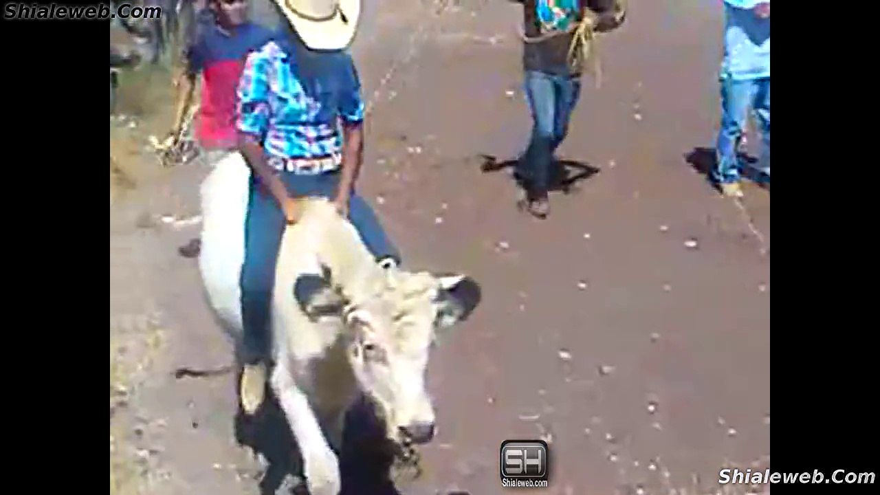 Jaripeo Vaquero De Rancho Divertido Gente Del Pueblo Montando A Pelo Sin Espuelas 2015