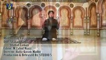 Main Gadaie mMustafa Hon Video Naat - Faisal Raza Qadri - New Naat [2015] Naat Online