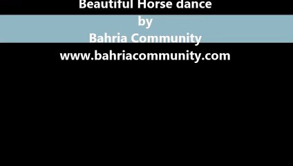 Horse dancing by Bahria Community