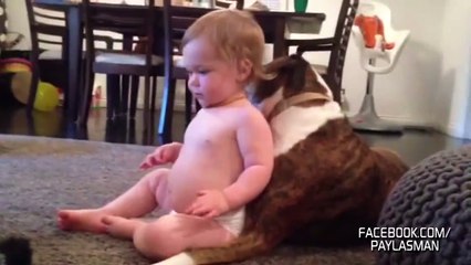 Kendini Pitbulla Yalatmaya Bayılan Bebek