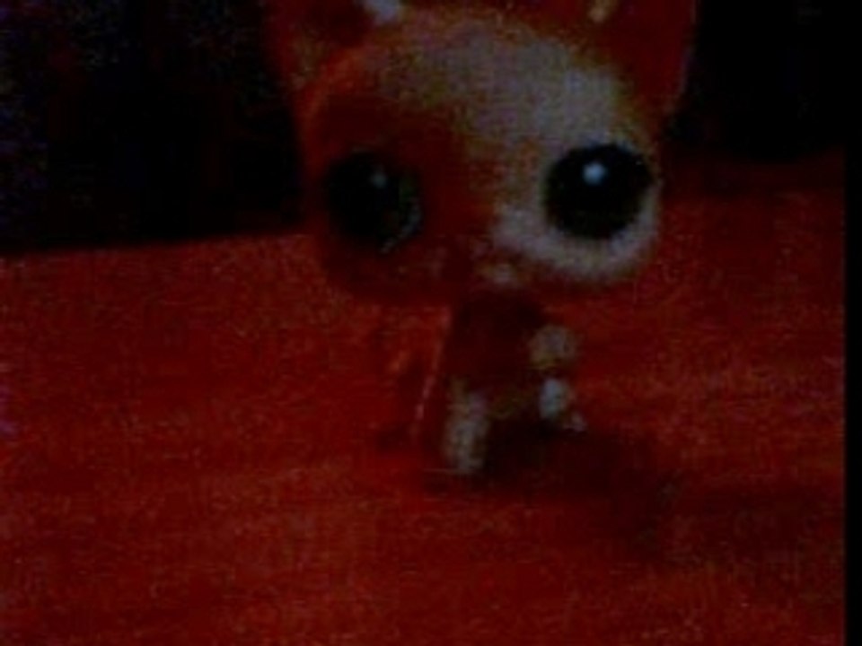 Présentation de super animaux