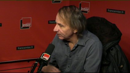 Michel Houellebecq : "Mon livre est une satire"