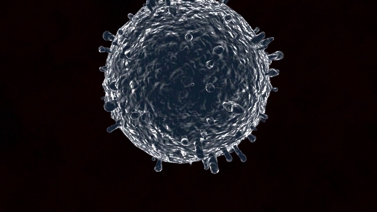 Seasonal Flu