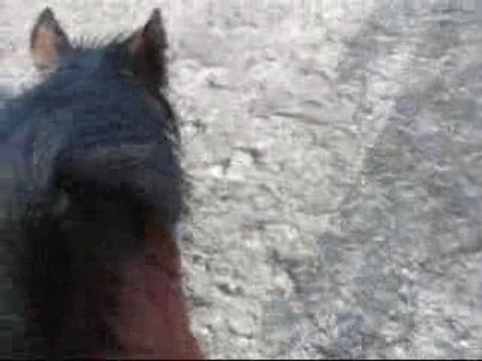 Vidéo O2.03