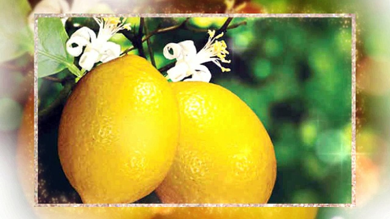 Garam Masala by Leena Spices Recipe of Fish Cakes