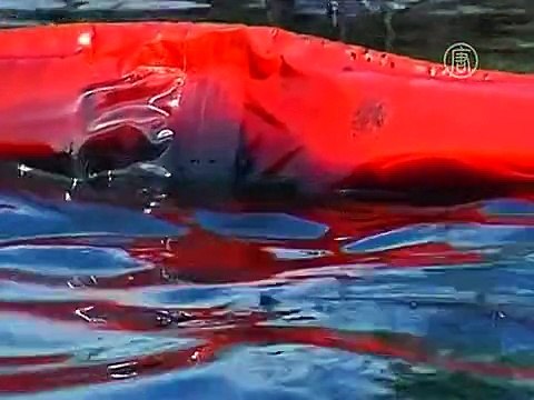 За разлив нефти в Нигерии заплатят напрямую людям