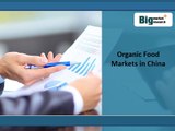 China Organic Food Markets Strategies, Demand,Forecast