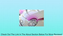 Round Pink CarLashes for VW Beetle, Jeep Liberty, Mini Cooper Authorized CarlashesTM Reseller Review