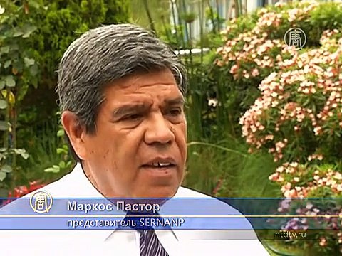 Мачу-Пикчу может разрушить изменение климата