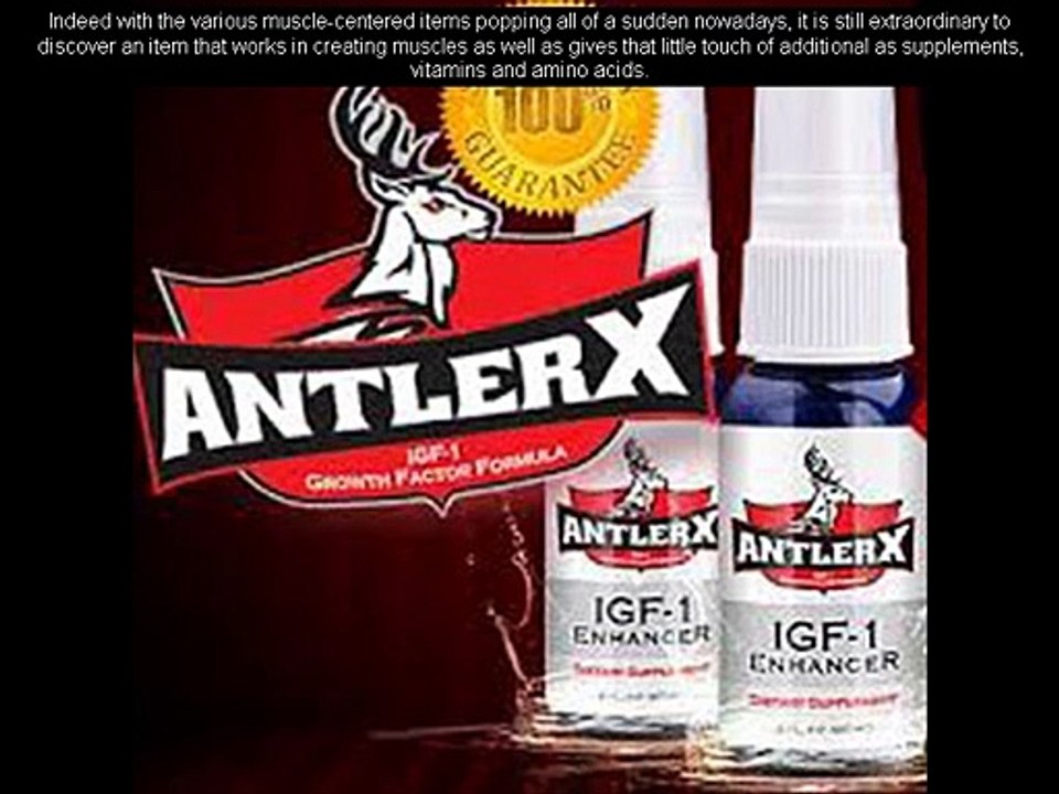 Antler X Review – Pure Solutions IGF Growth Factor