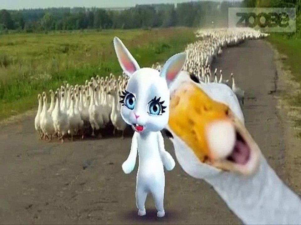 Entarisi Dım Dım Yar Ay Işığında Son Tango