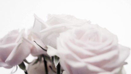 Jimmy Choo présente sa collection mariage 2015