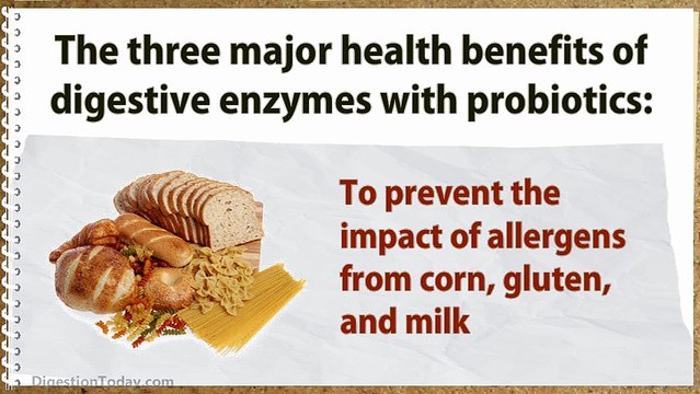 Digestive Enzymes For People Who Suffer From Regular Digestion Problems