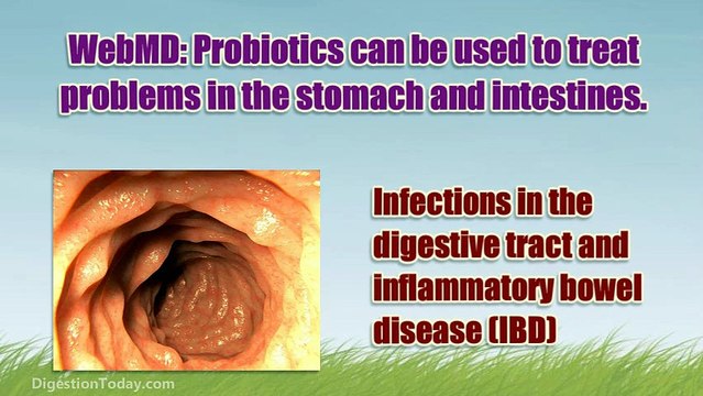 Probiotics Proven Effective For Digestive Problems