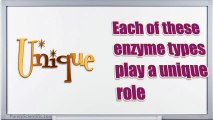 Discovering The Various Types Of Enzymes