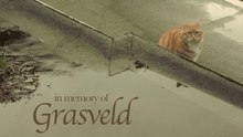 RIP Grasveld