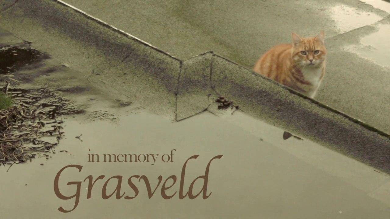 RIP Grasveld