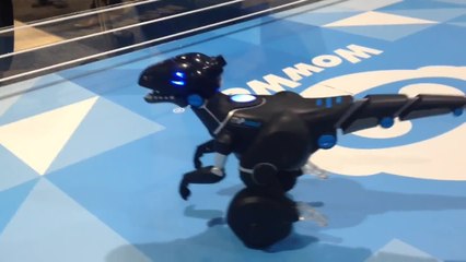 Descargar video: CES 2015: WowWee's MiPosaur Is A Dancing Dino