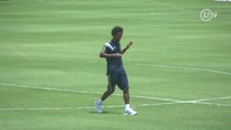 Todos reforços já treinam na Academia de Futebol do Palmeiras