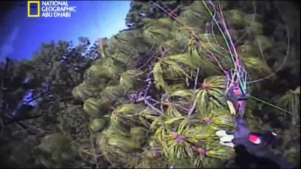 ‫وثائقي  - الخارقون - مظلي تصعقه الكهرباء HD‬‎