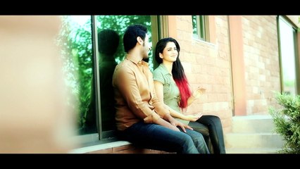 Teray Bina Amir Hassan HD