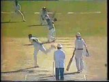 Imran Khan and Saleem Malik Batting Superb - Pak vs West Indies