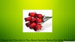 Realistic Bouquet of 8 Wire Stem Shades of Red Roses in Cellophane Sleeve - So Realistic It Is Hard to Believe They Are Made From Thin Shaved Wood! Review